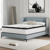 14"hybrid Mattress by Alwyn Home