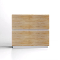 Latisha 31.5”Wide 2 Drawer Lateral File Cabinet With Anti-Tilt For Home Office by Hokku Designs