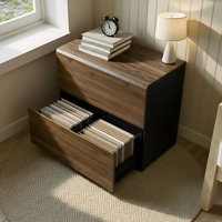 Latisha 31.5”Wide 2 Drawer Lateral File Cabinet With Anti-Tilt For Home Office by Hokku Designs