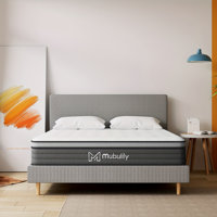 8/10/12 Inch Medium Hybrid Mattress Mattress, Mattress In A Box, Oeko-Tex Certified by Alwyn Home