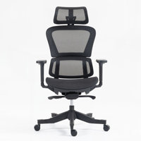 High Back Mesh Office Chair:8365HP-BK by Inbox Zero