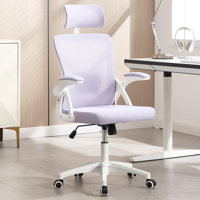Ergonomic Office Chair,Ergonomic Desk Chair With Adjustable Lumbar Support,400 Lbs Mesh Computer Chair High Back With Adjustable Headrest For Office by Inbox Zero
