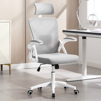 Ergonomic Office Chair,Ergonomic Desk Chair With Adjustable Lumbar Support,400 Lbs Mesh Computer Chair High Back With Adjustable Headrest For Office by Inbox Zero