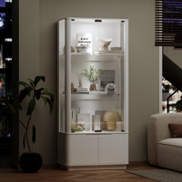 Display Cabinet With Tempered Glass Door And Light by Ebern Designs