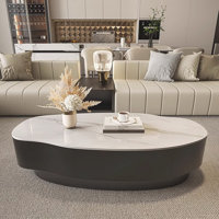 Modern 47" Sintered Stone Coffee Table, Unique Oval Free-Form Top, Scratch & Heat Resistant by Brayden Studio