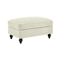 Ottoman Chenille by Red Barrel Studio