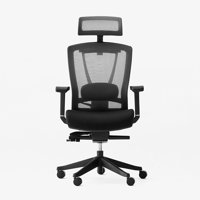 Ergochair Pro Office Chair Lumbar Support by Inbox Zero