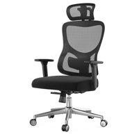 Ergonomic Comfort Mesh Office Chair, Adjustable Lumbar & Headrest, Versatile & Office Style by Orren Ellis