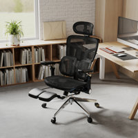 Ergonomic Mesh Office Chair With 6D Armrests, 3D Headrest, 2-Zone Lumbar Support And Retractable Footrest by Orren Ellis