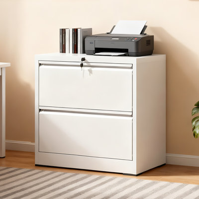 2-Drawer Lateral Filing Cabinet, Compact Wide Storage with 110lbs Capacity, Full-Extension Drawers & Safety Lock by Inbox Zero