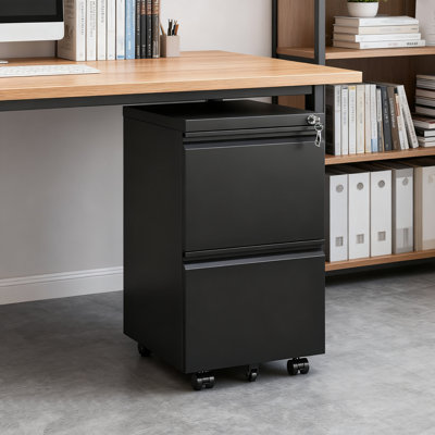 2-Drawer Mobile File Cabinet with Lock, Fully Assembled Rolling Storage for Legal/Letter/A4 Files, Compact Office Organizer by Inbox Zero