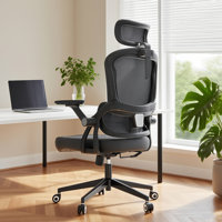 Ergonomic Office Chair , 300 Lbs Mesh Office Desk Chairs With Wheels, Comfortable Gaming Chair, High Back Office Chair For Long Hours by Inbox Zero