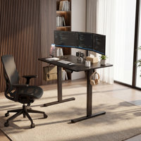 Height Adjustable Rectangle Standing Desk by Inbox Zero