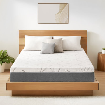 Queen Size Memory Foam Mattress, Medium Firm - Certipur-US Certified Memory Foam Filled For Pressure Relief, Breathable & Washable Cover,Mattress In A by Alwyn Home