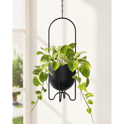 Black 5" Metal Hanging Planter, Indoor/Outdoor Window Porch Balcony Tabletop Flower Pot, No Chains/Hooks by Ebern Designs