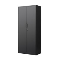 Storage Cabinet, 2-Door File Cabinet With Lock, 4 Adjustable Shelves For Office, Home by Latitude Run