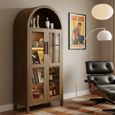 67"H X 30"W Tall Arched Storage Cabinet With LED Light & Glass Doors, Storage Cabinet With Adjustable Shelves by Wrought Studio