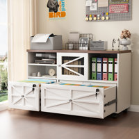 Lateral File Cabinet With Lock, 2 Drawer Mobile Filing Cabinet For Letter/legal/a4 Size, Open Storage Adjustable Shelf For Home Office Cabinets by Ophelia & Co.