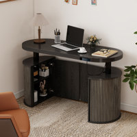 Electric Standing Desk With Storage, Home Office Height Adjustable Standing Desk With Cabinet by Inbox Zero