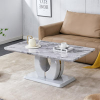 43.3" Rectangle Imitation Marble Coffee Table with Storage, Modern Center Console Table for Living Room & Small Space Apartment,Grey by Latitude Run