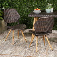 Laryn Dining Chair,set of 2 by George Oliver