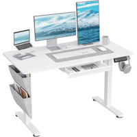 55" x 24" Electric Standing Desk with Drawer – Height Adjustable Sit-Stand Desk with 3 Preset Heights, Side Hook, Storage Pocket, and Cable Clips for by Inbox Zero