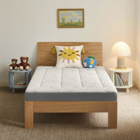 Memory Foam Mattress In A Box - Medium Firm, Certipur-US Certified, Rayon from Bamboo Cover For Kids Single Bunk Trundle Bed by Alwyn Home