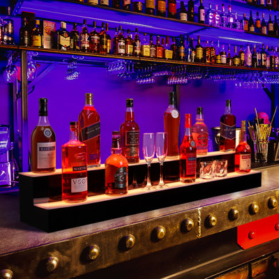 LED Lighted Liquor Bottle Display Shelf, Acrylic Bar Shelf with App & Remote Control by 17 Stories