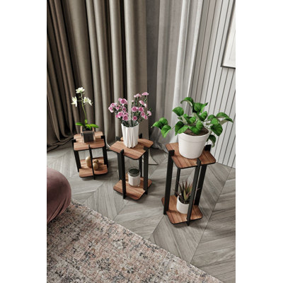 Square Tiered Pedestal Stands(Set Of 3) by Corrigan Studio