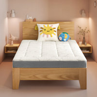 Memory Foam Mattress, Medium Firm- Certipur-US Certified, Bed In A Box For Easy Setup,Cooling Ventilated Foam, Pressure Relief & Washable White Cover by Alwyn Home