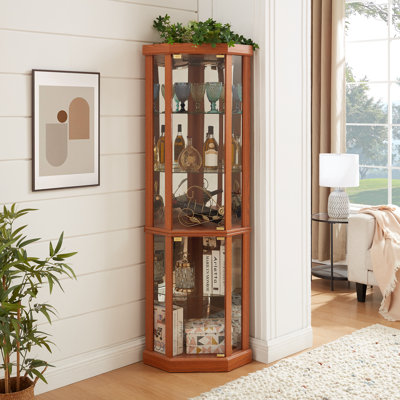 Corner Lighted Accent Cabinet with Glass Shelf and Door by Red Barrel Studio