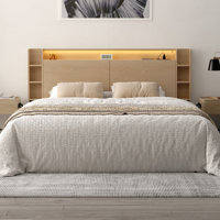 Headboard With Hidden Storage & Smart Led Lights, Bedroom Headboard With Built-in Charging Station For Bedroom Decor by Hokku Designs