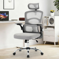 Ergonomic High-Back Office Chair with Mesh Seat, Adjustable Headrest & Armrests, Rolling Swivel Desk Chair by Wrought Studio