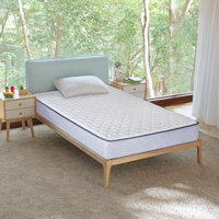 Medium Firm Tight top High Density Foam Rolled Mattress for RV, Cot, Folding Bed & Daybed by Alwyn Home