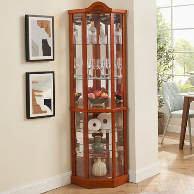 Cabinet Lighted Corner Cabinet Corner Display Curio Cabinet, Display With Light by Red Barrel Studio
