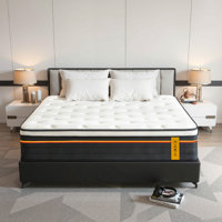 12 Inch Pocket Coil Hybrid Mattress, Medium-Firm Feel, Mattress in a Box with CertiPUR-US Certified by Alwyn Home