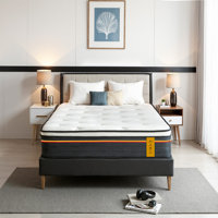 12 Inch Pocket Coil Hybrid Mattress, Medium-Firm Feel, Mattress in a Box with CertiPUR-US Certified by Alwyn Home