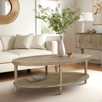 Oval Coffee Table With Shelf by Latitude Run