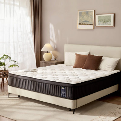12 Inch Queen Mattress, Medium Firm Hybrid Ergonomic Mattress, Zoned Pocket Springs, Back Support Pressure Relief, CertiPUR-US Certified by Alwyn Home