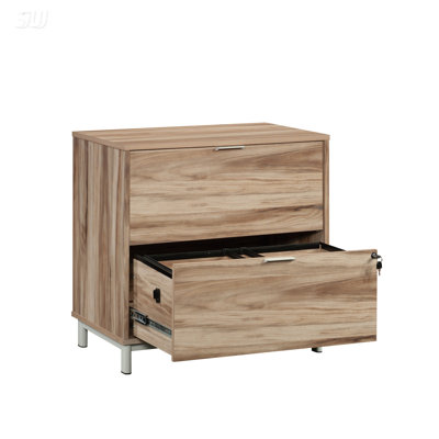 Sleek 2-Drawer Lateral File Cabinet With Durable Melamine Surface For Home And Office, Brown Finish by Red Barrel Studio
