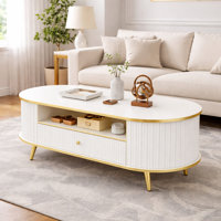 47.2" Modern Oval Coffee Table With Led Lights, Fluted Coffee Table With Storage Drawer, Curved Profile With Gold Metal Legs, Center Table For Living by Wrought Studio
