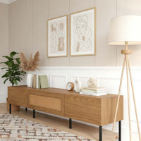 TV Stand for TVs up to 80
