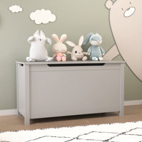 Kids Wooden Toy Box Storage with Safety Hinged Lid for Ages 2+ by Ebern Designs