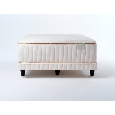 The Bristol 2.0 Plush- Luxury Organic Mattress 16" by Williams Co. Mattress