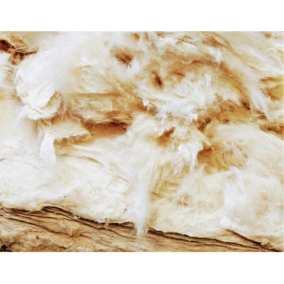 Wholesale Kapok Fiber by the Pound (lb) by White Lotus Home