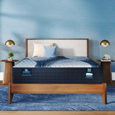 iComfort Iona Plush Mattress with Standard Profile 9" Foundation