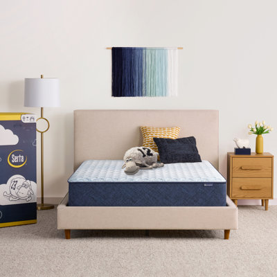 Sleep To Go Firm 12" Mattress in a Box by Serta