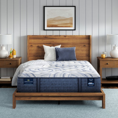 Perfect Sleeper Pro Kensington Medium 13" Latex Hybrid Mattress by Serta