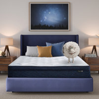 Serta Five Star Mattress Sleep to Go Plush Pillow Top Mattress in a Box by Serta