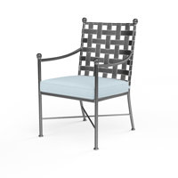 Lucier Patio Dining Armchair with Cushion by Birch Lane